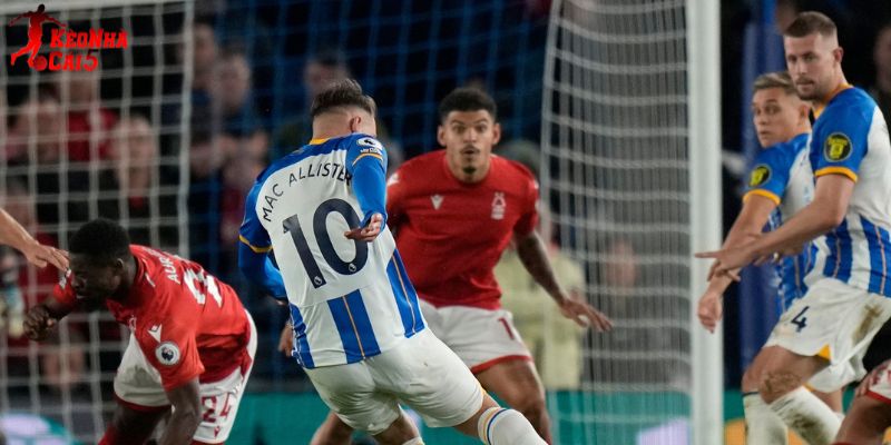 Brighton vs Nottingham cống hiến những trận cầu có nhiều bàn